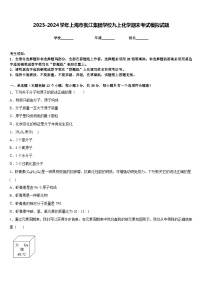 2023-2024学年上海市张江集团学校九上化学期末考试模拟试题含答案