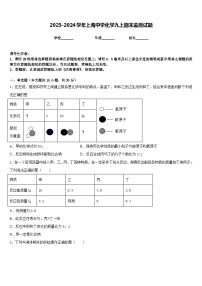 2023-2024学年上海中学化学九上期末监测试题含答案