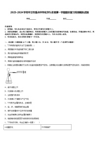 2023-2024学年中卫市重点中学化学九年级第一学期期末复习检测模拟试题含答案