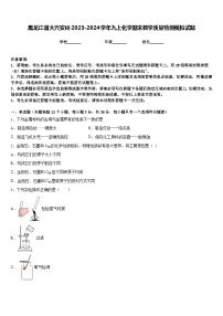 黑龙江省大兴安岭2023-2024学年九上化学期末教学质量检测模拟试题含答案