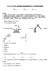 2023-2024学年上海外国语大附属外国语学校九上化学期末经典试题含答案