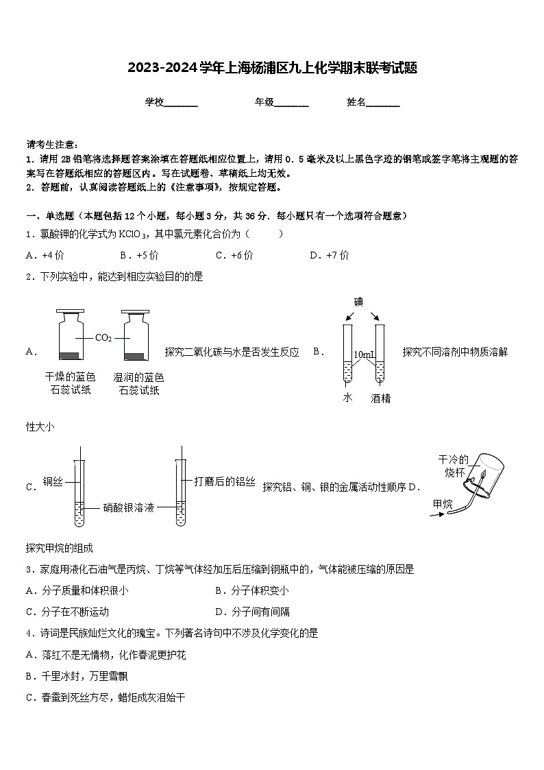 2023-2024学年上海杨浦区九上化学期末联考试题含答案01