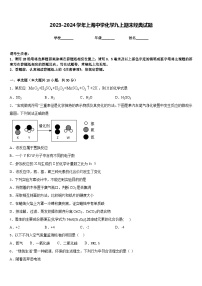 2023-2024学年上海中学化学九上期末经典试题含答案