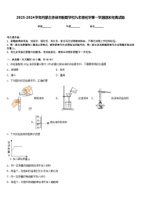 2023-2024学年内蒙古赤峰市联盟学校九年级化学第一学期期末经典试题含答案