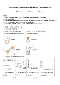 2023-2024学年内蒙古赤峰市翁牛特旗化学九上期末考试模拟试题含答案