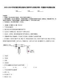 2023-2024学年内蒙古鄂托克旗乌兰镇中学九年级化学第一学期期末考试模拟试题含答案