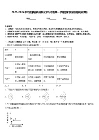 2023-2024学年内蒙古杭锦旗化学九年级第一学期期末质量检测模拟试题含答案