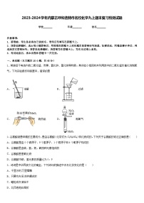 2023-2024学年内蒙古呼和浩特市名校化学九上期末复习检测试题含答案