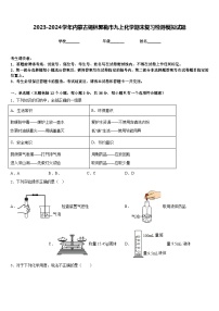 2023-2024学年内蒙古锡林郭勒市九上化学期末复习检测模拟试题含答案