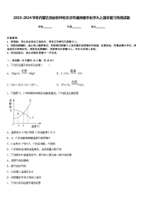 2023-2024学年内蒙古自治区呼伦贝尔市满洲里市化学九上期末复习检测试题含答案