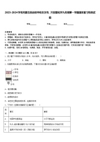 2023-2024学年内蒙古自治区呼伦贝尔市、兴安盟化学九年级第一学期期末复习检测试题含答案