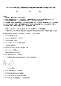 2023-2024学年内蒙古自治区通辽市奈曼旗化学九年级第一学期期末考试试题含答案