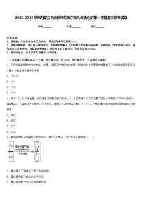 2023-2024学年内蒙古自治区呼伦贝尔市九年级化学第一学期期末联考试题含答案