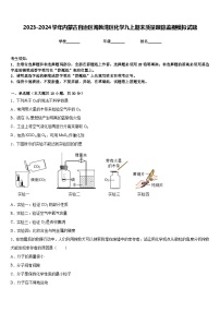 2023-2024学年内蒙古自治区海勃湾区化学九上期末质量跟踪监视模拟试题含答案