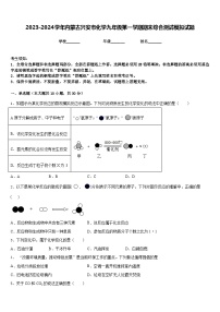 2023-2024学年内蒙古兴安市化学九年级第一学期期末综合测试模拟试题含答案