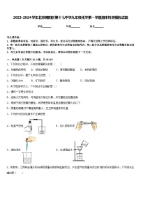 2023-2024学年北京朝阳区第十七中学九年级化学第一学期期末检测模拟试题含答案