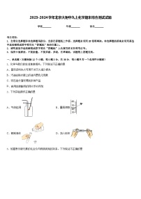 2023-2024学年北京大附中九上化学期末综合测试试题含答案