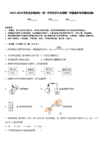 2023-2024学年北京海淀区一零一中学化学九年级第一学期期末考试模拟试题含答案