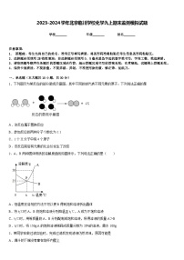 2023-2024学年北京临川学校化学九上期末监测模拟试题含答案