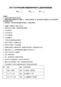 2023-2024学年北京师大附属实验中学化学九上期末综合测试试题含答案