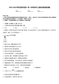 2023-2024学年北京市北京一零一中学化学九上期末达标测试试题含答案