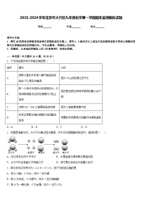 2023-2024学年北京市大兴区九年级化学第一学期期末监测模拟试题含答案