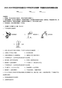 2023-2024学年北京市东城区五十中学化学九年级第一学期期末达标检测模拟试题含答案