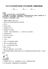 2023-2024学年北京市丰台区第二中学九年级化学第一学期期末经典试题含答案