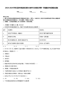 2023-2024学年北京市海淀区清华大附中九年级化学第一学期期末考试模拟试题含答案