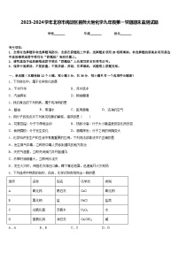 2023-2024学年北京市海淀区首师大附化学九年级第一学期期末监测试题含答案