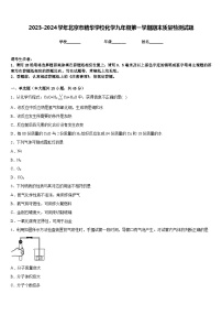 2023-2024学年北京市精华学校化学九年级第一学期期末质量检测试题含答案