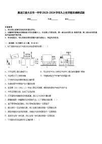 黑龙江省大庆市一中学2023-2024学年九上化学期末调研试题含答案