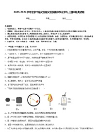 2023-2024学年北京市顺义区顺义区张镇中学化学九上期末经典试题含答案