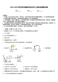 2023-2024学年北京市西城区名校化学九上期末监测模拟试题含答案