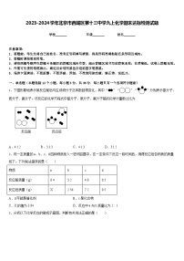 2023-2024学年北京市西城区第十三中学九上化学期末达标检测试题含答案