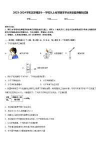 2023-2024学年北京海淀十一学校九上化学期末学业质量监测模拟试题含答案