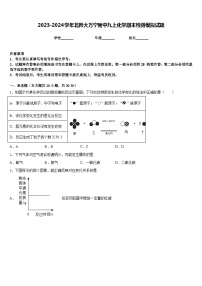 2023-2024学年北师大万宁附中九上化学期末检测模拟试题含答案