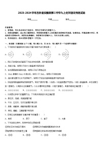 2023-2024学年吉林省安图县第三中学九上化学期末预测试题含答案