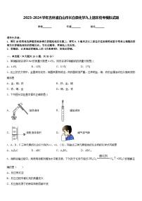 2023-2024学年吉林省白山市长白县化学九上期末统考模拟试题含答案