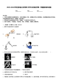 2023-2024学年吉林省大安市第三中学九年级化学第一学期期末联考试题含答案