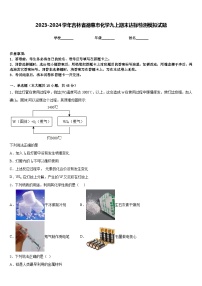 2023-2024学年吉林省德惠市化学九上期末达标检测模拟试题含答案