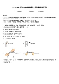 2023-2024学年吉林省柳河县化学九上期末达标测试试题含答案