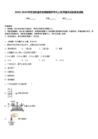 2023-2024学年吉林省农安县新阳中学九上化学期末达标测试试题含答案