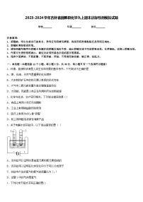 2023-2024学年吉林省前郭县化学九上期末达标检测模拟试题含答案