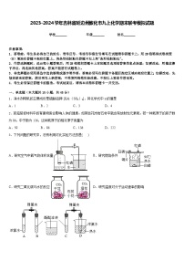 2023-2024学年吉林省延边州敦化市九上化学期末联考模拟试题含答案