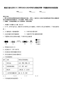 黑龙江省大庆市三十二中学2023-2024学年九年级化学第一学期期末综合测试试题含答案