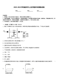 2023-2024学年南安市九上化学期末考试模拟试题含答案