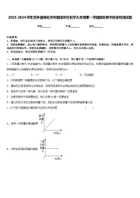 2023-2024学年吉林省通化市外国语学校化学九年级第一学期期末教学质量检测试题含答案