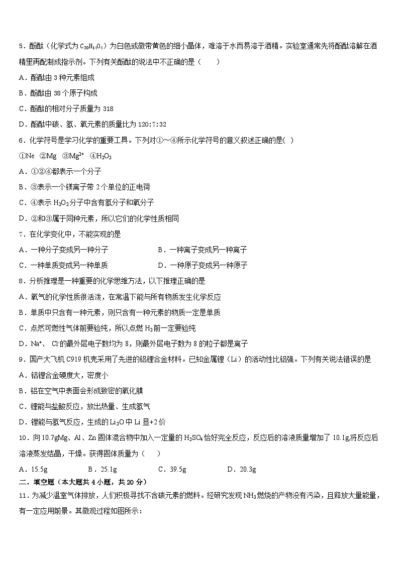 2023-2024学年南京栖霞区摄山中学九上化学期末统考模拟试题含答案02