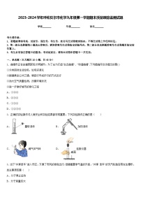 2023-2024学年呼伦贝尔市化学九年级第一学期期末质量跟踪监视试题含答案